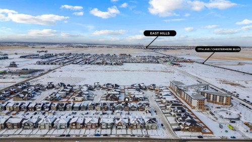 190 Dawson Harbour Rise, Chestermere, AB - Outdoor With View