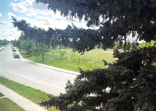 2208 20 Avenue Nw, Calgary, AB - Outdoor With View