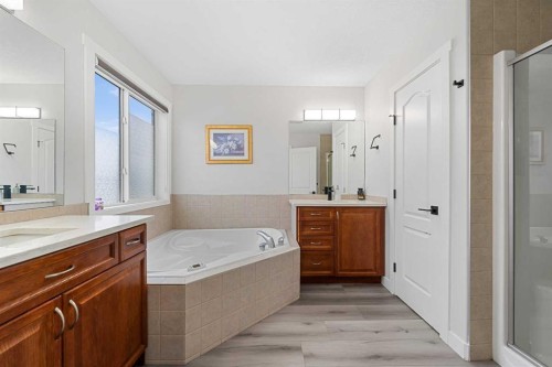 280 Windermere Drive, Chestermere, AB - Indoor Photo Showing Bathroom
