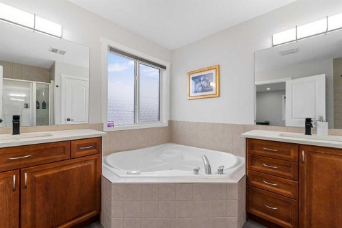 280 Windermere Drive, Chestermere, AB - Indoor Photo Showing Bathroom