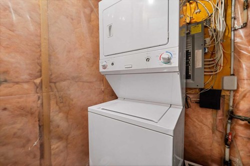 280 Windermere Drive, Chestermere, AB - Indoor Photo Showing Laundry Room