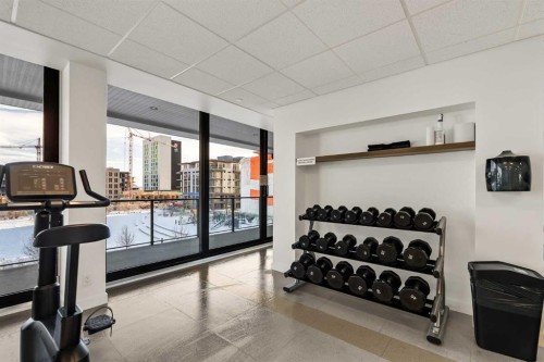 308-4160 Norford Avenue Nw, Calgary, AB - Indoor Photo Showing Gym Room