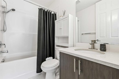 3114-298 Sage Meadows Park Nw, Calgary, AB - Indoor Photo Showing Bathroom