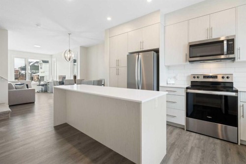 122 Homestead Boulevard Ne, Calgary, AB - Indoor Photo Showing Kitchen With Stainless Steel Kitchen With Upgraded Kitchen