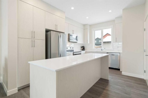 122 Homestead Boulevard Ne, Calgary, AB - Indoor Photo Showing Kitchen With Stainless Steel Kitchen With Upgraded Kitchen