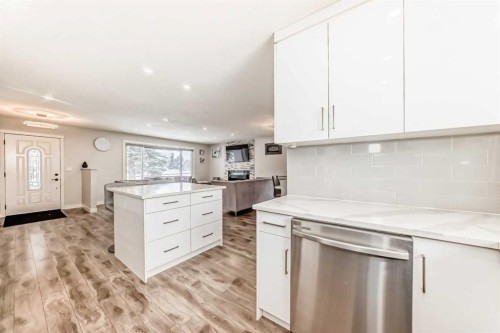 87 Rundleson Way Ne, Calgary, AB - Indoor Photo Showing Kitchen With Upgraded Kitchen