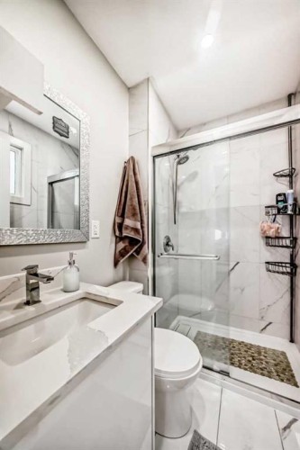87 Rundleson Way Ne, Calgary, AB - Indoor Photo Showing Bathroom