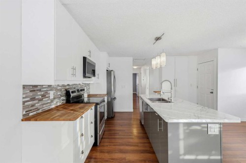 2 Woodfern Road Sw, Calgary, AB - Indoor Photo Showing Kitchen With Double Sink With Upgraded Kitchen