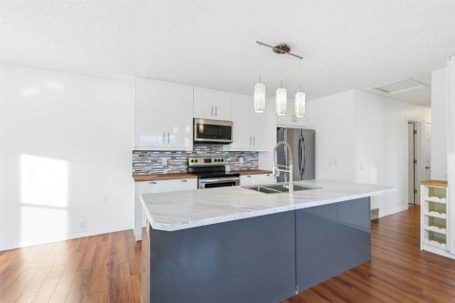 2 Woodfern Road Sw, Calgary, AB - Indoor Photo Showing Kitchen With Double Sink With Upgraded Kitchen