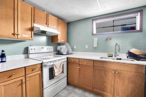 280 Whitworth Way Ne, Calgary, AB - Indoor Photo Showing Kitchen With Double Sink