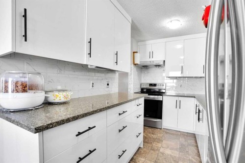 280 Whitworth Way Ne, Calgary, AB - Indoor Photo Showing Kitchen With Upgraded Kitchen