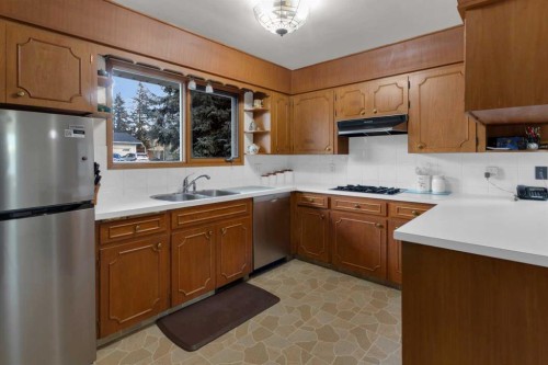 1801 Cayuga Drive Nw, Calgary, AB - Indoor Photo Showing Kitchen With Double Sink