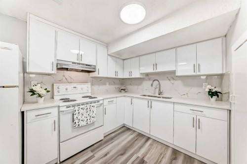 3429 33A Avenue Se, Calgary, AB - Indoor Photo Showing Kitchen