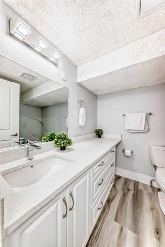 3429 33A Avenue Se, Calgary, AB - Indoor Photo Showing Bathroom
