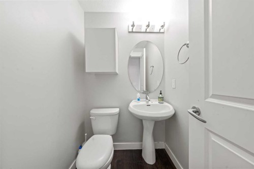 161 Rainbow Falls Glen, Chestermere, AB - Indoor Photo Showing Bathroom