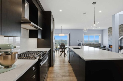 246 Walcrest View Se, Calgary, AB - Indoor Photo Showing Kitchen With Upgraded Kitchen
