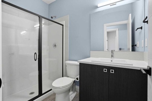 246 Walcrest View Se, Calgary, AB - Indoor Photo Showing Bathroom