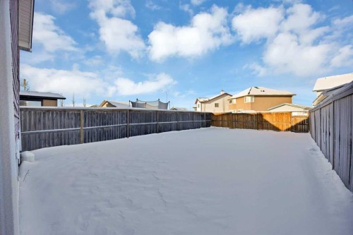 87 Taralea Gardens Ne, Calgary, AB - Outdoor