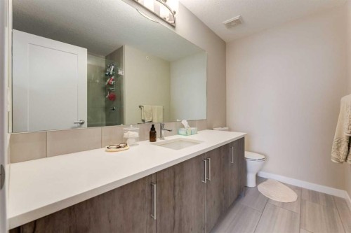 412-8531 8A Avenue Sw, Calgary, AB - Indoor Photo Showing Bathroom