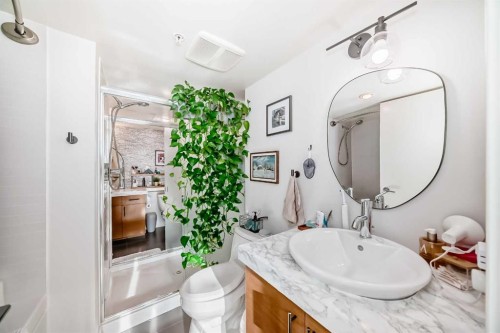 1404-1110 11 Street Sw, Calgary, AB - Indoor Photo Showing Bathroom