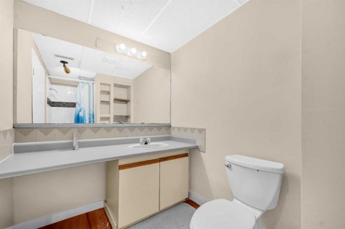 120 Castlebrook Rise Ne, Calgary, AB - Indoor Photo Showing Bathroom