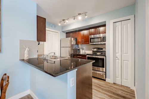 311-2715 12 Avenue Se, Calgary, AB - Indoor Photo Showing Kitchen With Double Sink