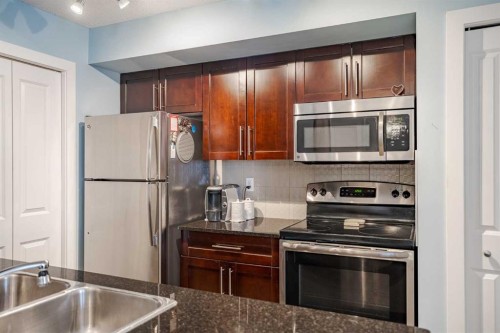 311-2715 12 Avenue Se, Calgary, AB - Indoor Photo Showing Kitchen With Double Sink