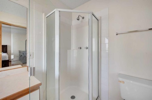 137 Martinpark Way Ne, Calgary, AB - Indoor Photo Showing Bathroom