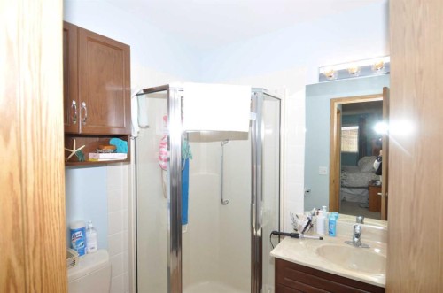 16 Edenwold Green Nw, Calgary, AB - Indoor Photo Showing Bathroom