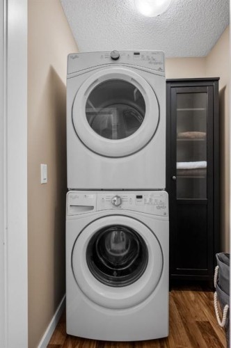 1071 Cornerstone Street Ne, Calgary, AB - Indoor Photo Showing Laundry Room