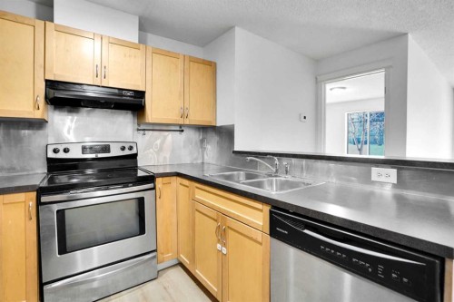 4109-70 Panamount Drive Nw, Calgary, AB - Indoor Photo Showing Kitchen With Stainless Steel Kitchen With Double Sink