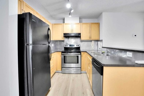 4109-70 Panamount Drive Nw, Calgary, AB - Indoor Photo Showing Kitchen With Stainless Steel Kitchen With Double Sink