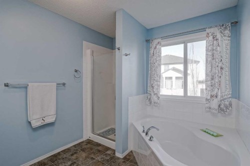 212 Cove Court, Chestermere, AB - Indoor Photo Showing Bathroom