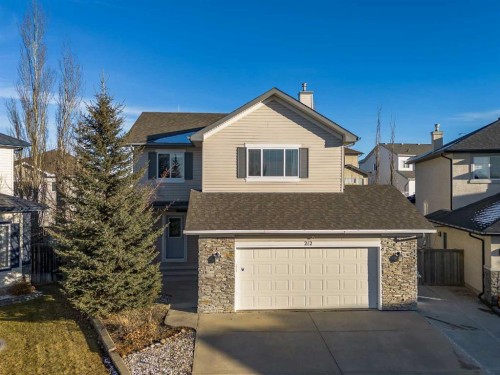 212 Cove Court, Chestermere, AB - Outdoor