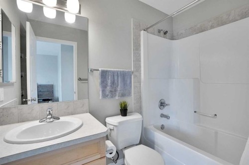 34 Skyview Springs Rise Ne, Calgary, AB - Indoor Photo Showing Bathroom