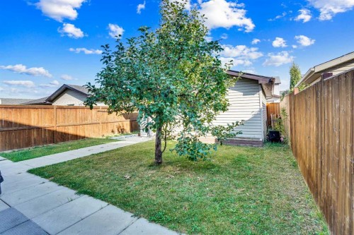 34 Skyview Springs Rise Ne, Calgary, AB - Outdoor