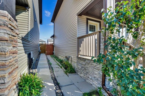 34 Skyview Springs Rise Ne, Calgary, AB - Outdoor