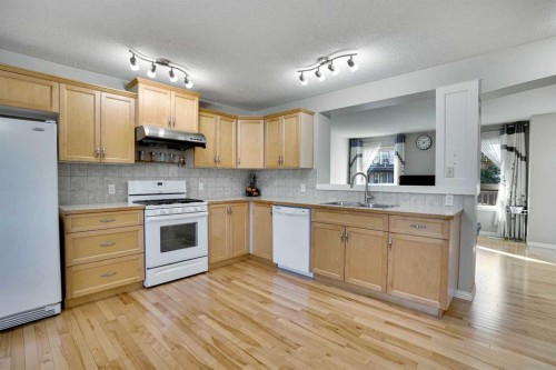 34 Skyview Springs Rise Ne, Calgary, AB - Indoor Photo Showing Kitchen With Double Sink