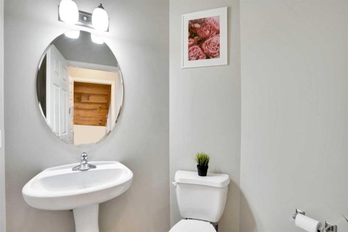 34 Skyview Springs Rise Ne, Calgary, AB - Indoor Photo Showing Bathroom