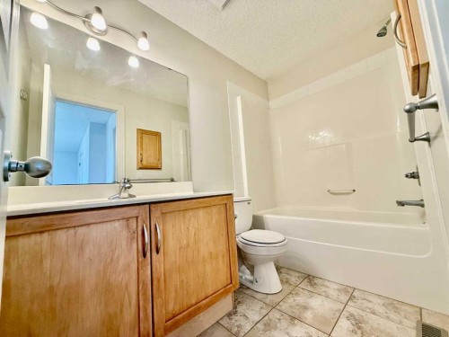 17 Bridleridge Manor Sw, Calgary, AB - Indoor Photo Showing Bathroom