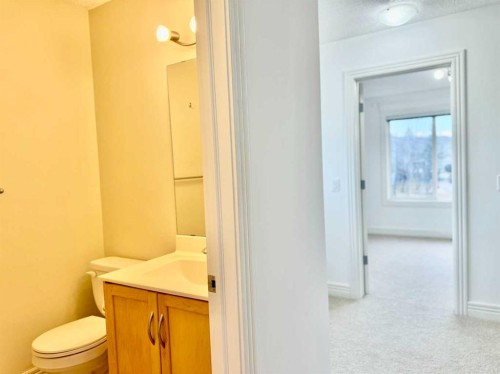17 Bridleridge Manor Sw, Calgary, AB - Indoor Photo Showing Bathroom