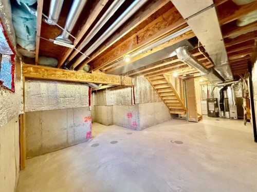 17 Bridleridge Manor Sw, Calgary, AB - Indoor Photo Showing Basement