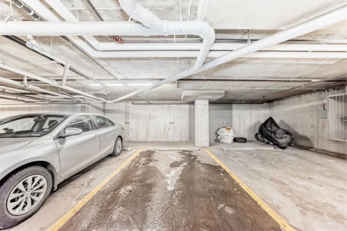 120-355 Taralake Way Ne, Calgary, AB - Indoor Photo Showing Garage