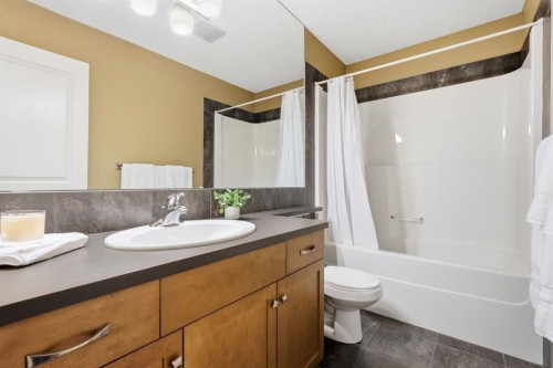 166 Cranridge Terrace Se, Calgary, AB - Indoor Photo Showing Bathroom