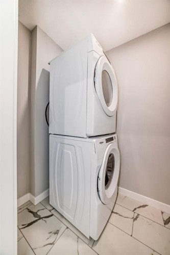 1218-6 Merganser Drive West, Chestermere, AB - Indoor Photo Showing Laundry Room