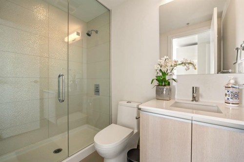 2002-1188 3 Street Se, Calgary, AB - Indoor Photo Showing Bathroom