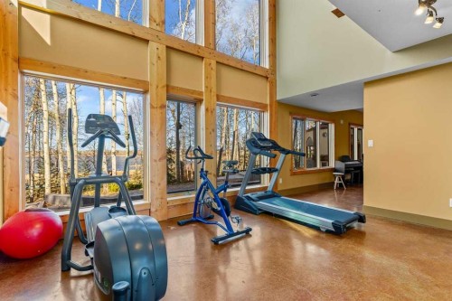 80 Cochrane Lake Trail, Cochrane Lake, AB - Indoor Photo Showing Gym Room