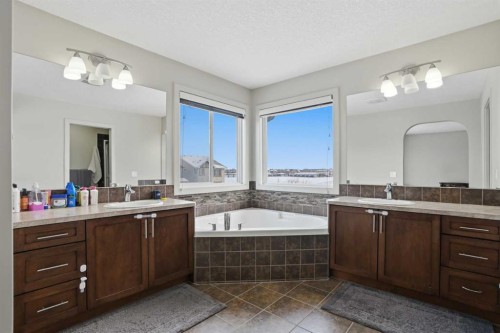 14 Skyview Ranch Street Ne, Calgary, AB - Indoor Photo Showing Bathroom