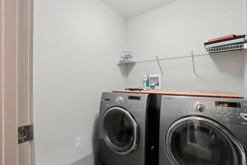 14 Skyview Ranch Street Ne, Calgary, AB - Indoor Photo Showing Laundry Room