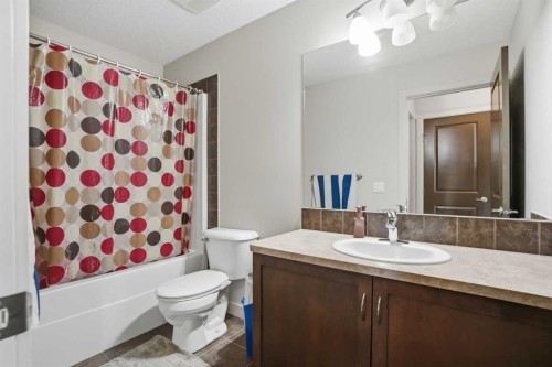 14 Skyview Ranch Street Ne, Calgary, AB - Indoor Photo Showing Bathroom